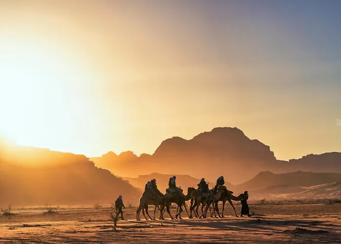 Discover The Life Of Wadi Rum