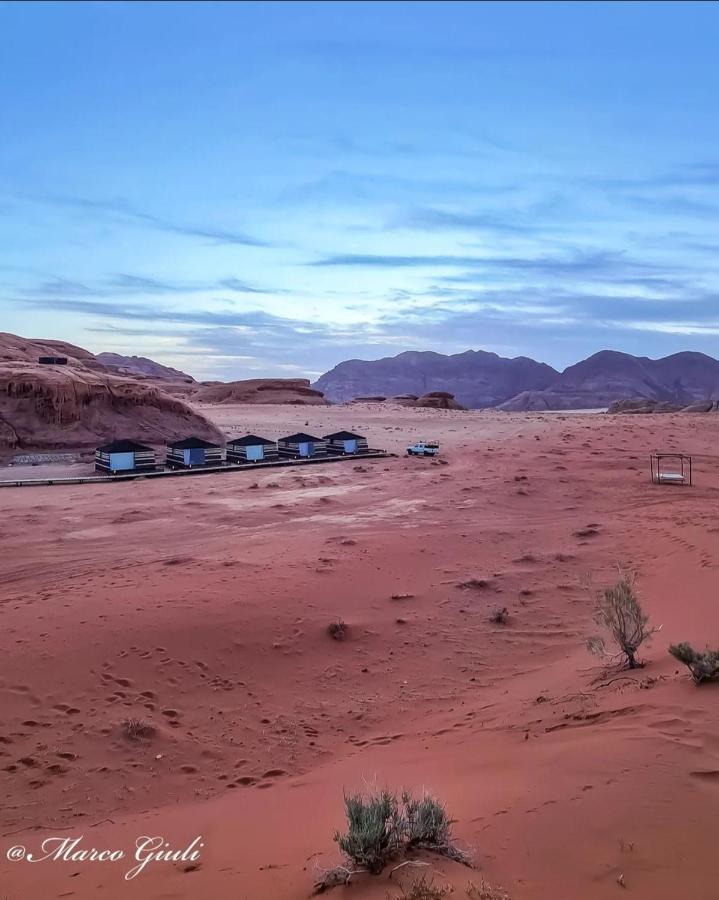 Discover The Life Of Wadi Wadi Rum