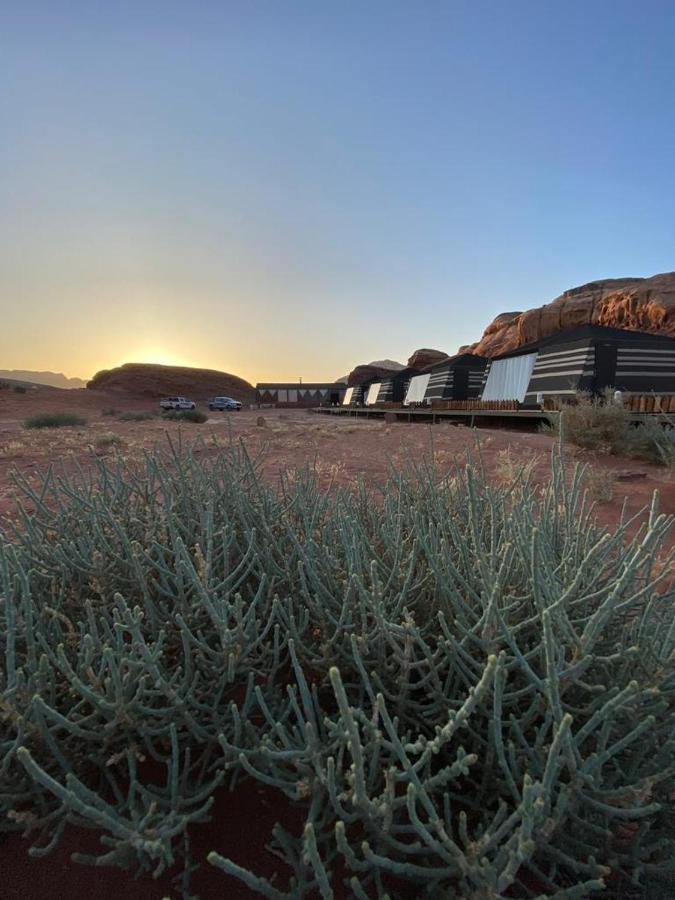 Discover The Life Of Wadi