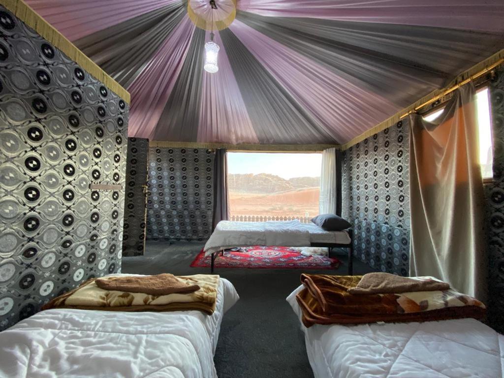 Discover The Life Of Wadi Wadi Rum