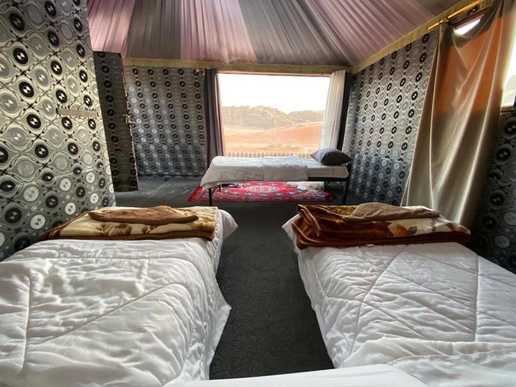 Discover The Life Of Wadi Luxury tent *