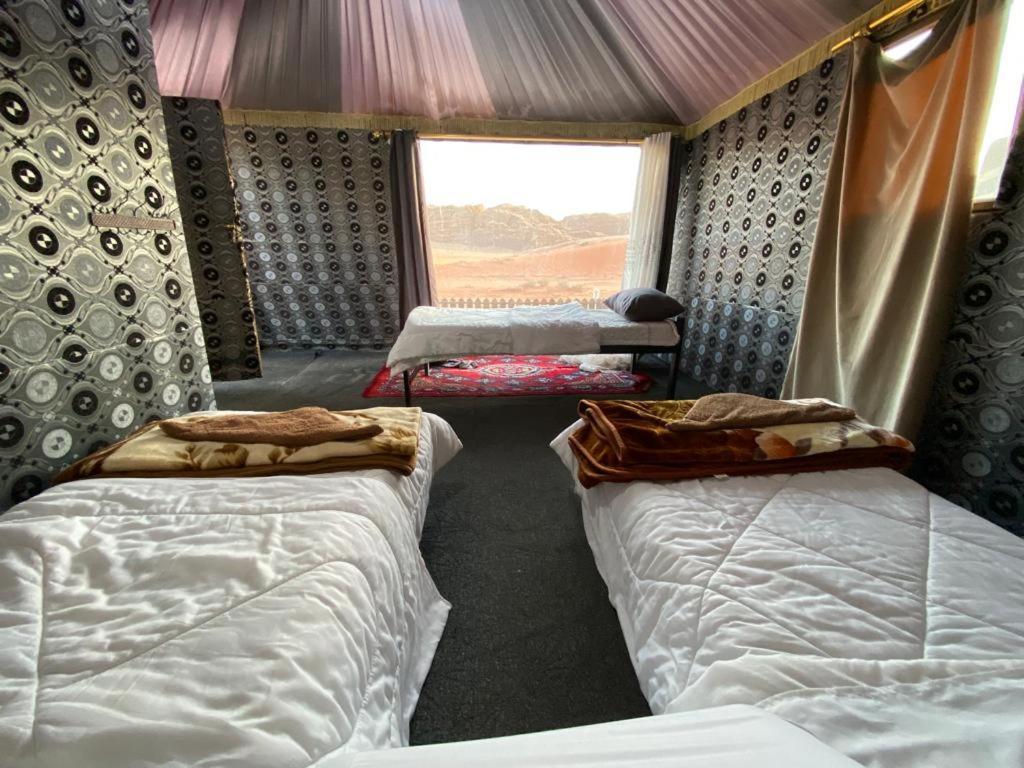 Luxury tent Discover The Life Of Wadi