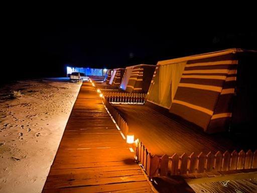 Discover The Life Of Wadi Wadi Rum
