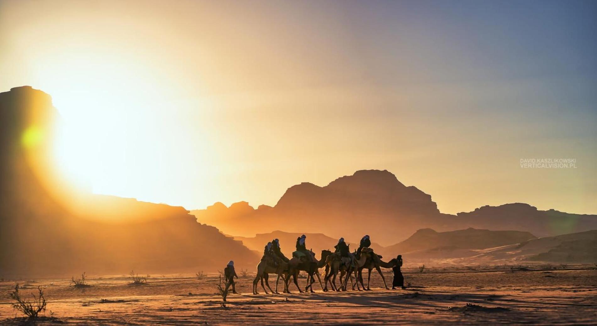 Discover The Life Of Wadi Wadi Rum