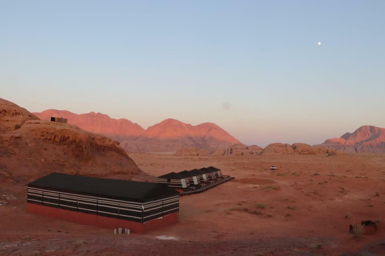 Luxury tent Discover The Life Of Wadi *