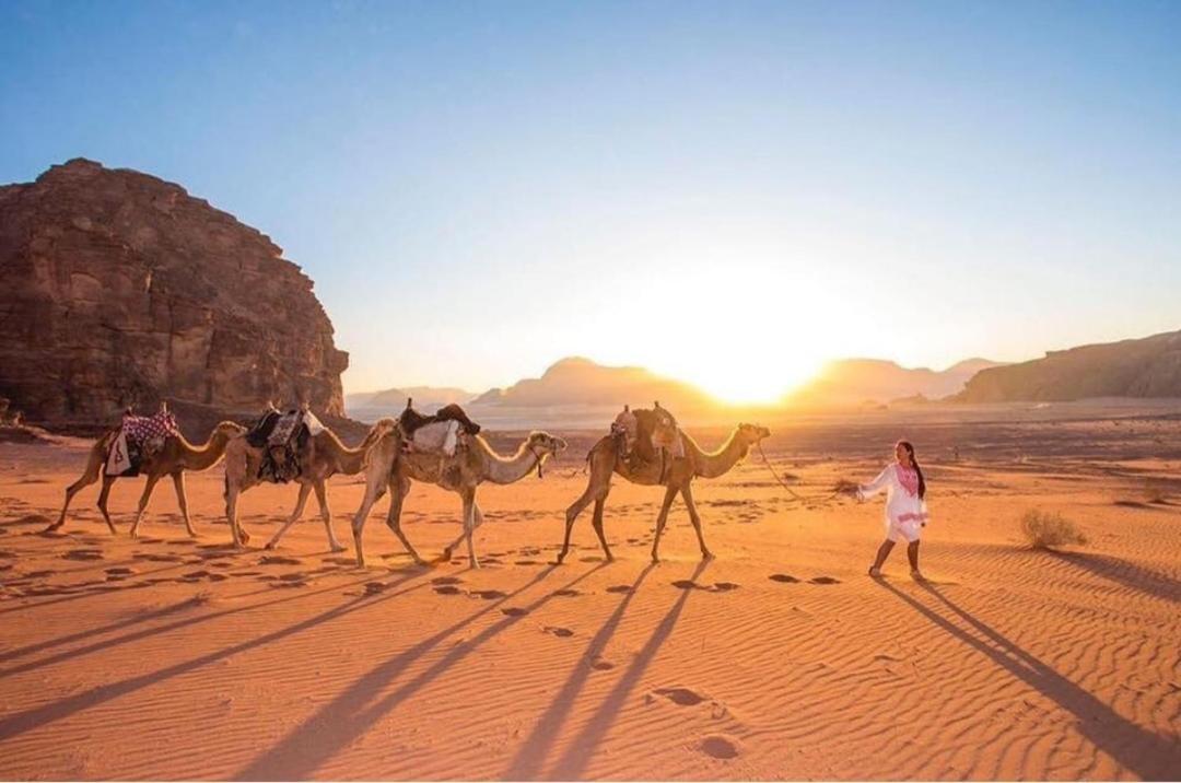 Discover The Life Of Wadi *