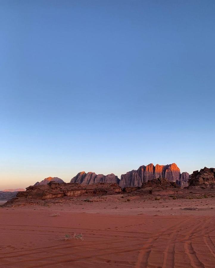 Discover The Life Of Wadi * Wadi Rum